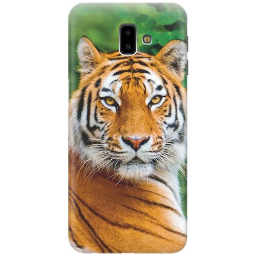 RE: PAЧехол - накладка ArtColor для Samsung Galaxy J6+ (2018) с принтом Портрет тигра re paчехол накладка artcolor для huawei y9 2018 с принтом портрет тигра