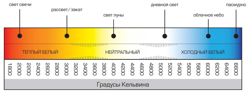1033512 Лампа светодиодная (LED) с отражателем d50мм GU5.3 120° 7Вт 220-240В матовая нейтральная холодно-белая 4000К Jazzway - фото №12