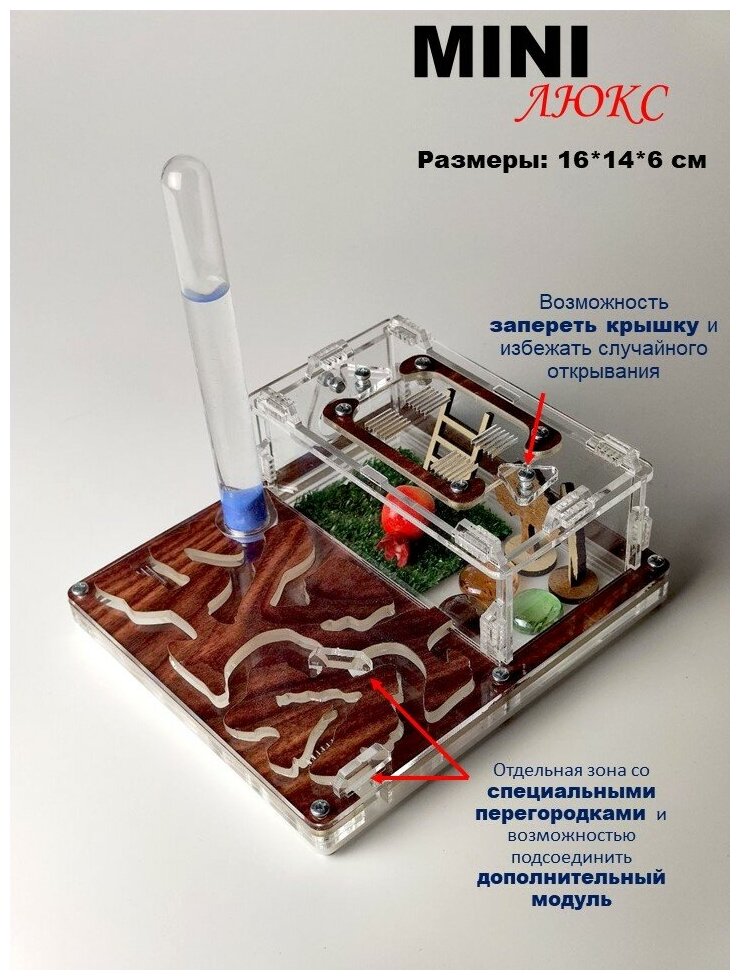 Муравьиная ферма "Орех" MINI 16*14 Комплект Комбо - фотография № 2