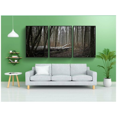 фото Набор модулных постеров для интерьера "лес, природа, пейзаж" 60x90 см. в тубусе, без рамки lotsprints