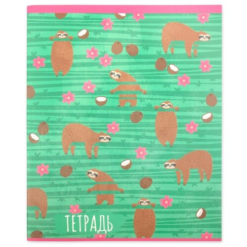 Набор тетрадей STILSY Ешь, Люби, Спи, А5, 48 листов, на скобе, 10 шт, клетка, 04, Кокосы (TCS 054804)