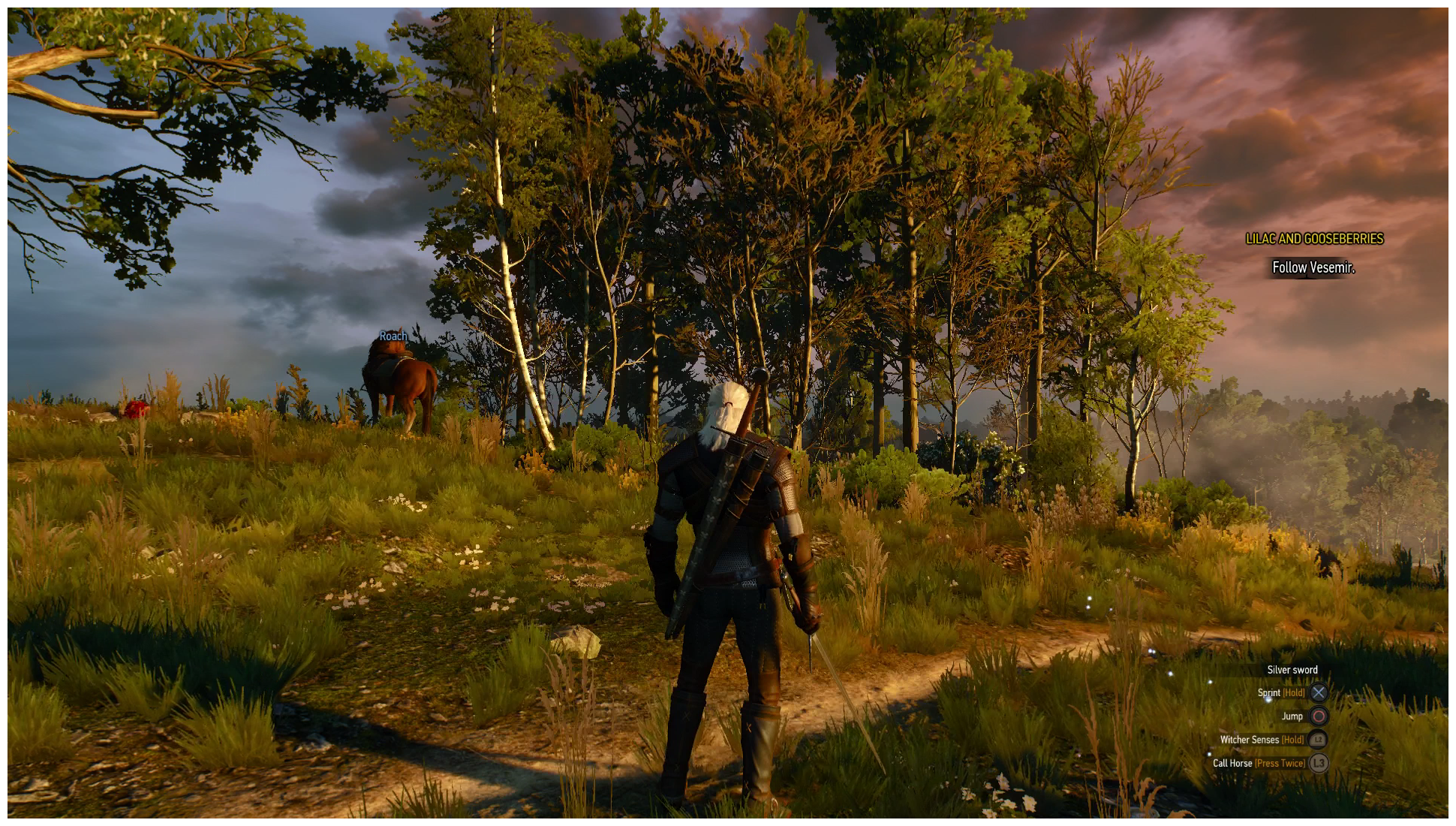 The witcher 3 pc dualshock 4 фото 79