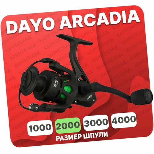 фото Катушка безынерционная dayo arcadia 2000 (3+1)bb