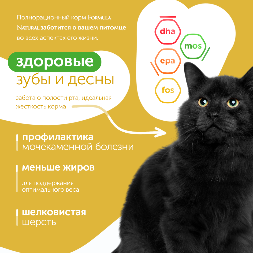 Сухой корм для стерилизованных или кастрированных кошек и котов, Formula Natural Life Super Premium - низкозерновой, с курицей, Бразилия, 2 кг - фотография № 5