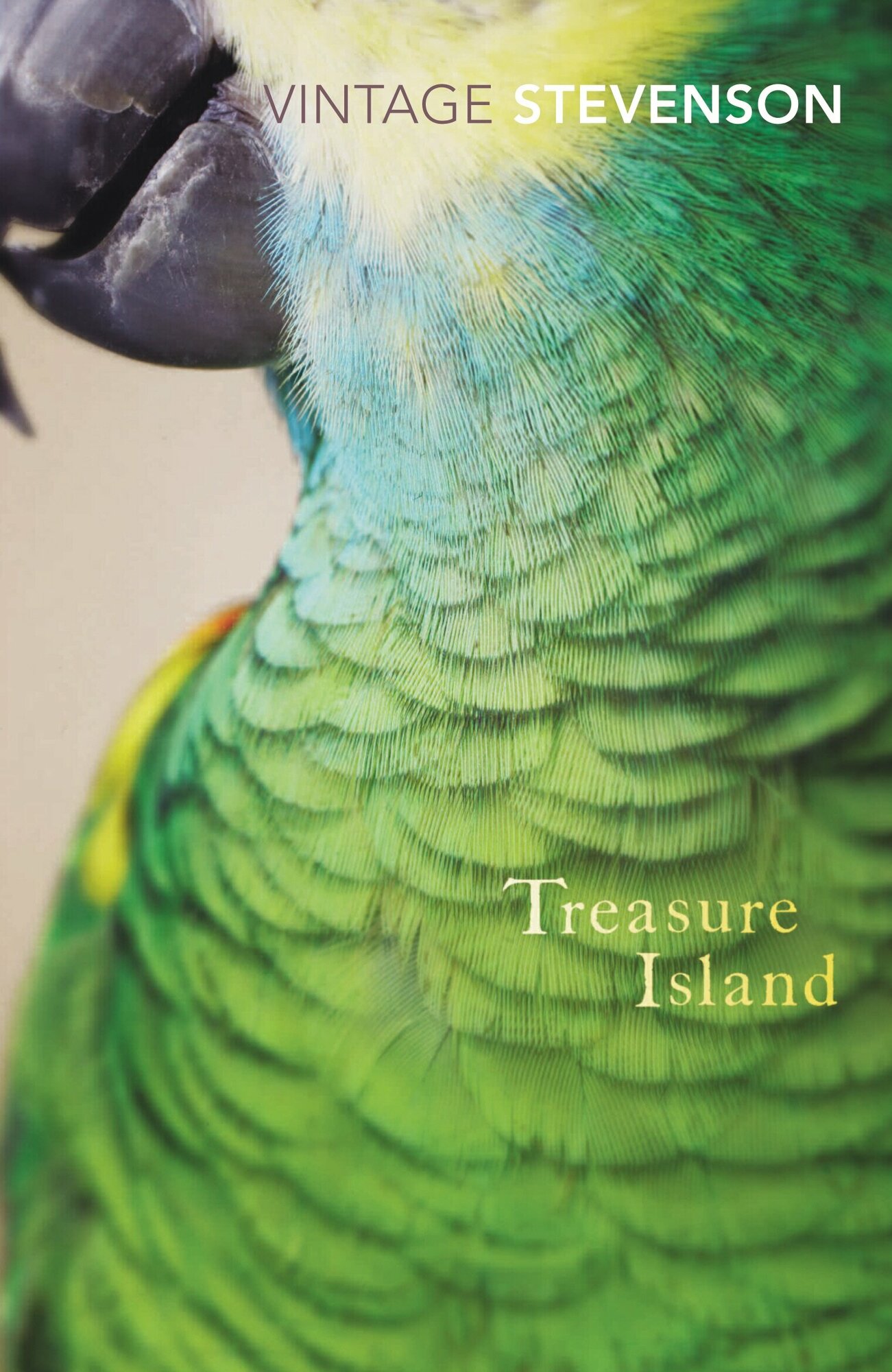 Treasure Island / Остров сокровищ / Книга на Английском