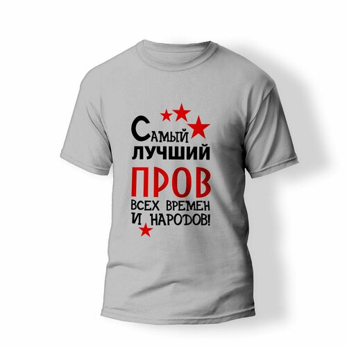 фото Футболка artstyle "самый лучший пров всех времен и народов", размер l, серый без бренда