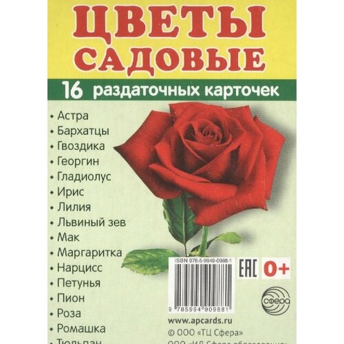 Цветы садовые (16 раздаточных карточек)