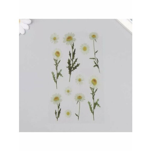 Наклейки для творчества пластик Ромашки 21х105 см 473₽