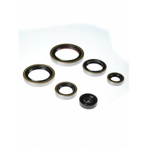 Комплект сальников двигателя BWX KTM SX250 03-16 Husqvarna TETC250 14-16 TE300 3756₽