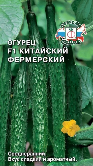 Огурец "Седек" Китайский фермерский F1 0,2г