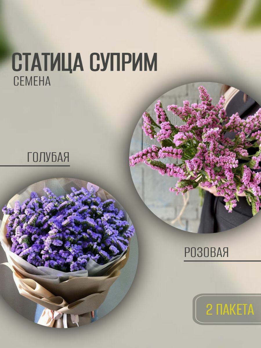 Статица (выемчатая) Суприм Голубая и Розовая 2 пакета по 015г семян