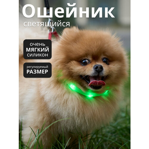 Светящийся светодиодный ошейник для собак, с USB зарядкой