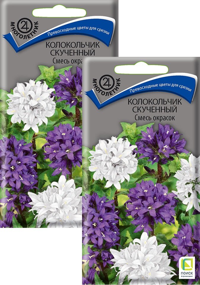 Семена Колокольчик скученный Смесь окрасок (005 г) 2 пакета