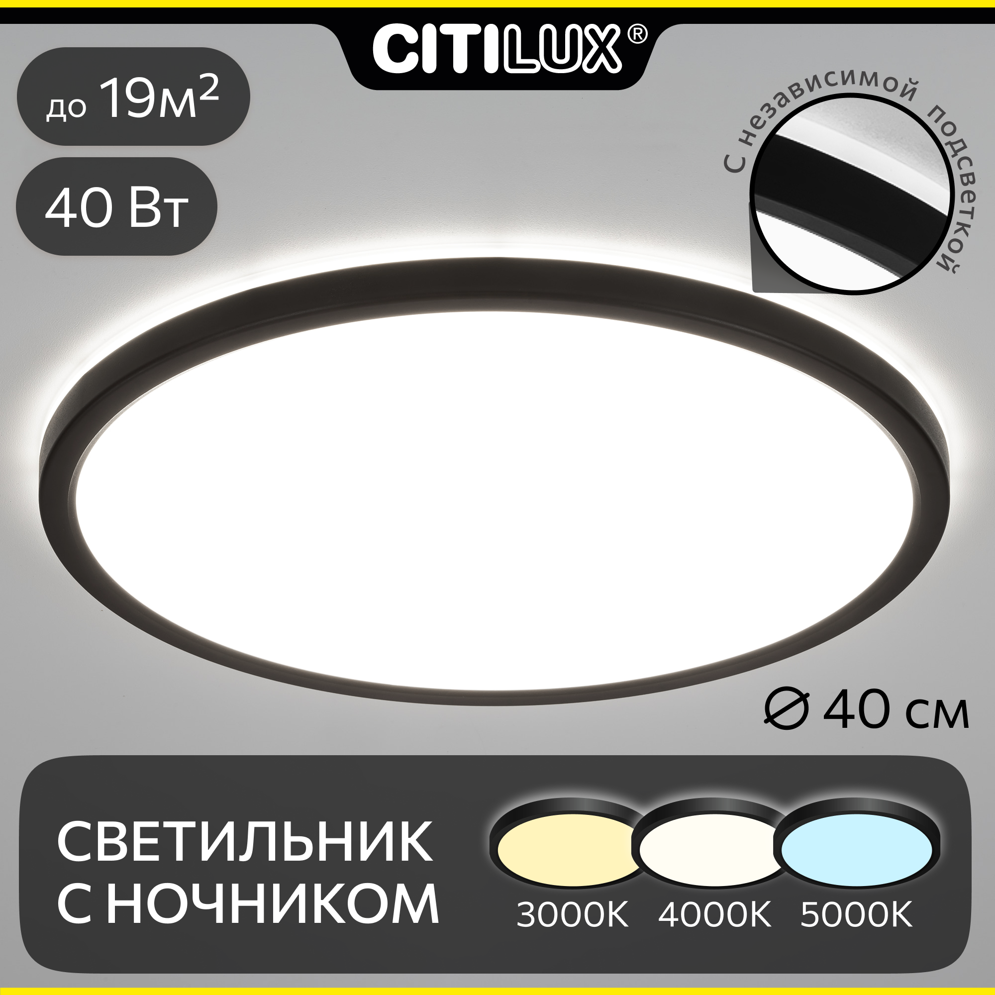 Светильник для дома накладной Citilux Basic Line CL738321VL, цвет арматуры черный