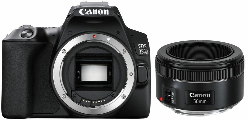 Фотоаппарат Canon Eos 250D kit 18-55mm и EF 50mm f/1.8 STM