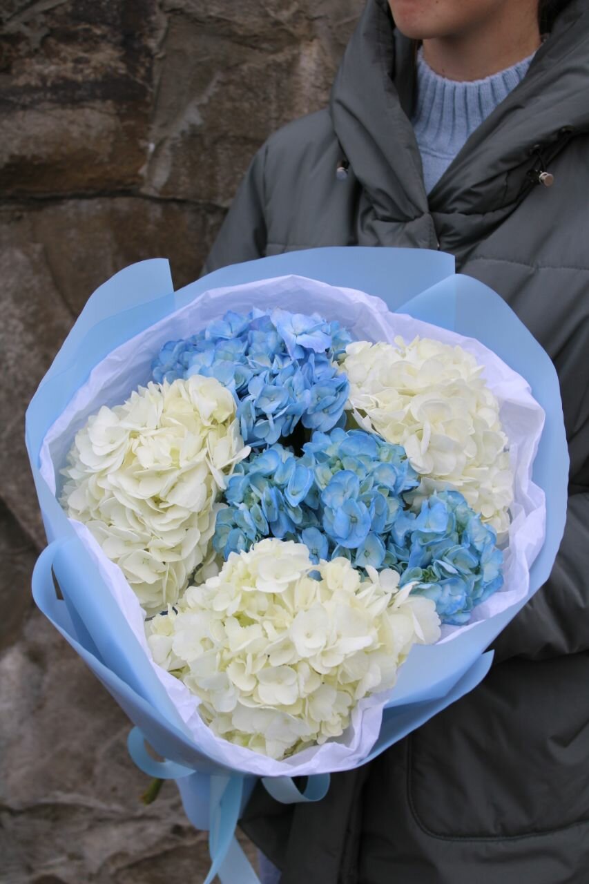 МоноБукет из бело-голубых Гортензий 5 шт пленка под ленту 50см