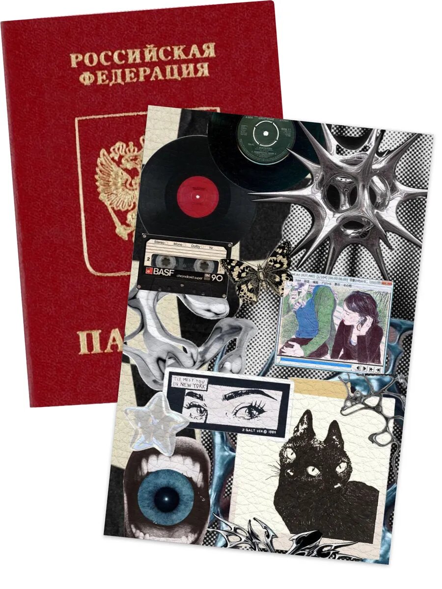 Обложка для паспорта