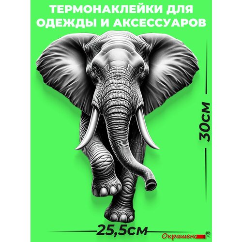 фото Термонаклейка / термотрансфер для декора одежды и аксессуаров "слон" окрашенору