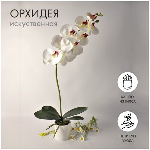 Искусственные цветы для декора/ Растения в кашпо/ Декоративные цветы/ Цветы/ Подарок для женщин