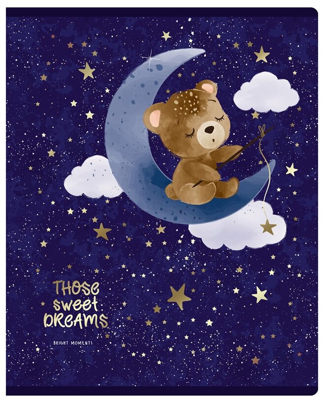 BG Комплект тетрадей "Sweet dreams" Т5ск48_тф 11068, 4 шт., 4 дизайна, клетка, 48 л., 4 шт., Рисунок