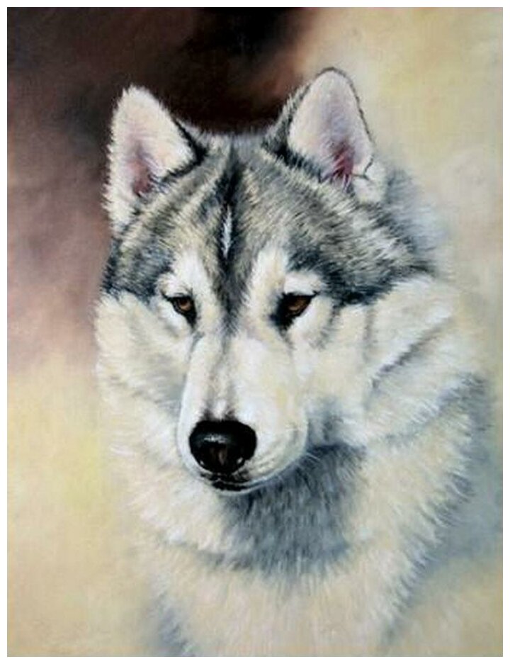 Алмазная мозаика Полярный волк 20x26 см.