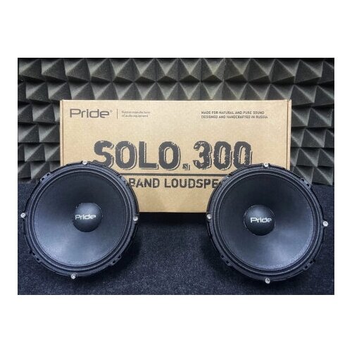 Динамики автомобильные PRIDE SOLO 300 15500₽