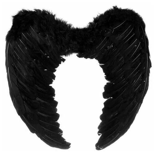 фото Крылья ангела, 55×40, чёрные bristol novelty