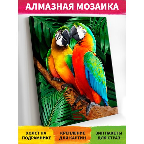 Алмазная мозаика на подрамнике 40х50 см Попугаи. Алмазная вышивка. Картина стразами