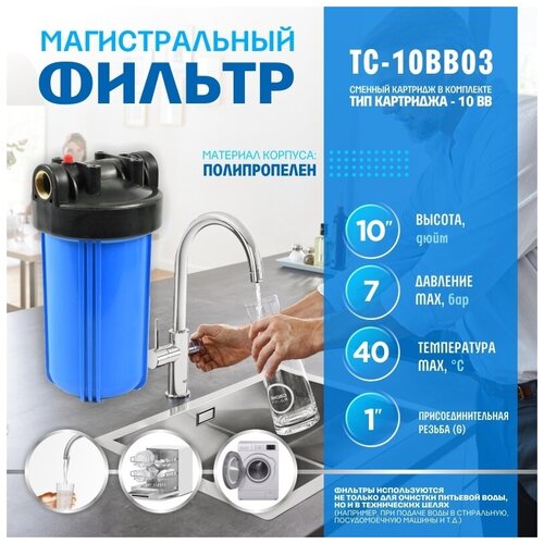 фильтр для воды thermofix магистральный 1 вв 20 хол вода синий с картриджем тс 20bb01 big blue 20 Фильтр для воды Thermofix (1 ВВ, 10, синий) (ТС-10BB01) фильтр для очистки воды фильтр Big Blue