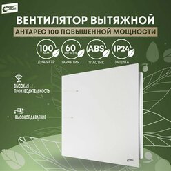 Вентилятор РВС "Антарес" 100 повышенной мощности