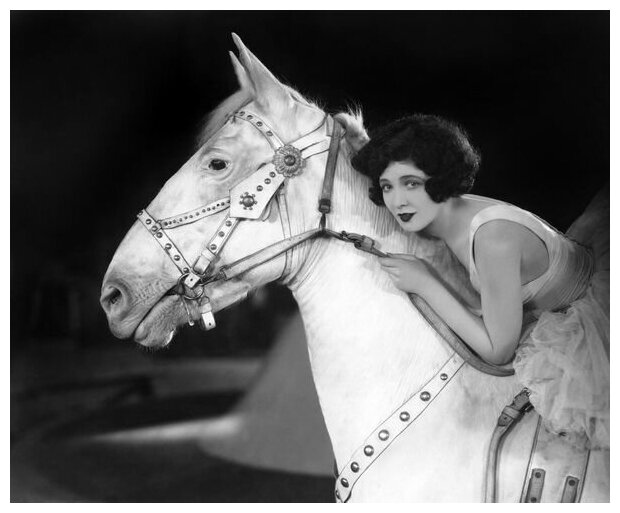 Постер на холсте Девушка верхом на белой лошади (A girl riding a white horse) 49см. x 40см.