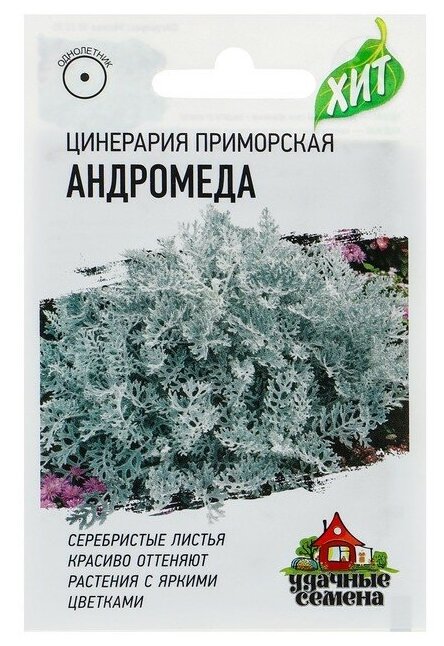 Семена цветов Цинерария приморская "Андромеда" О 01 г серия ХИТ х3