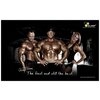 Фото #12 BCAA Olimp Sport Nutrition Beta-Alanine Carno Rush Mega