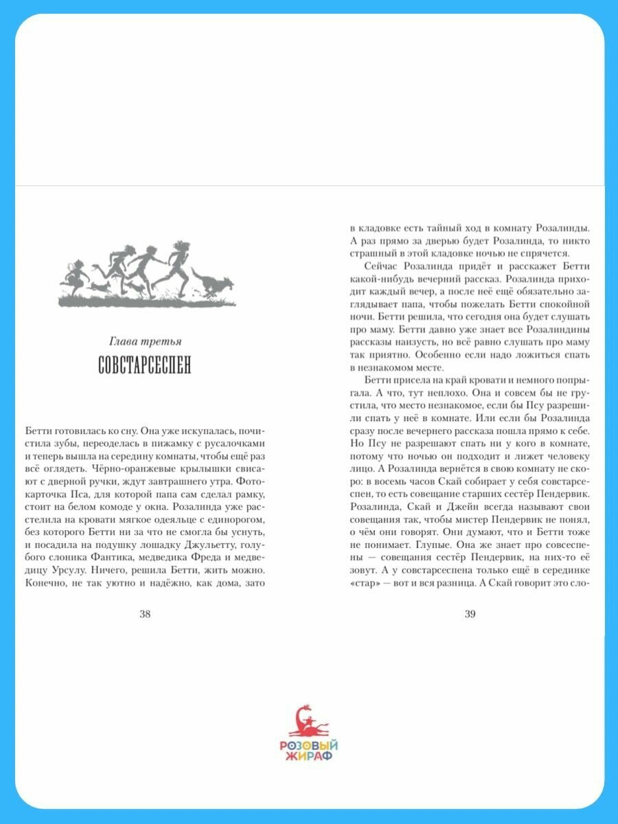 Пендервики. Летняя история про четырех сестер, двух кроликов и одного мальчика, с которым было не скучно. Книга первая - фото №4