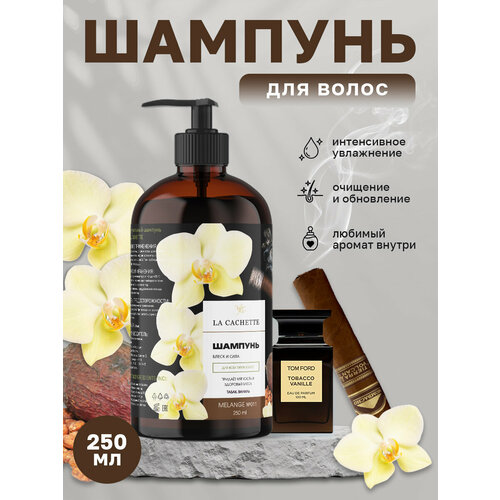 Шампунь для волос увлажняющий La Cachette U011 Tobacco Vanille, 250 мл, с дозатором шампунь для волос увлажняющий la cachette u223 tobacco mandarin 500 мл с дозатором