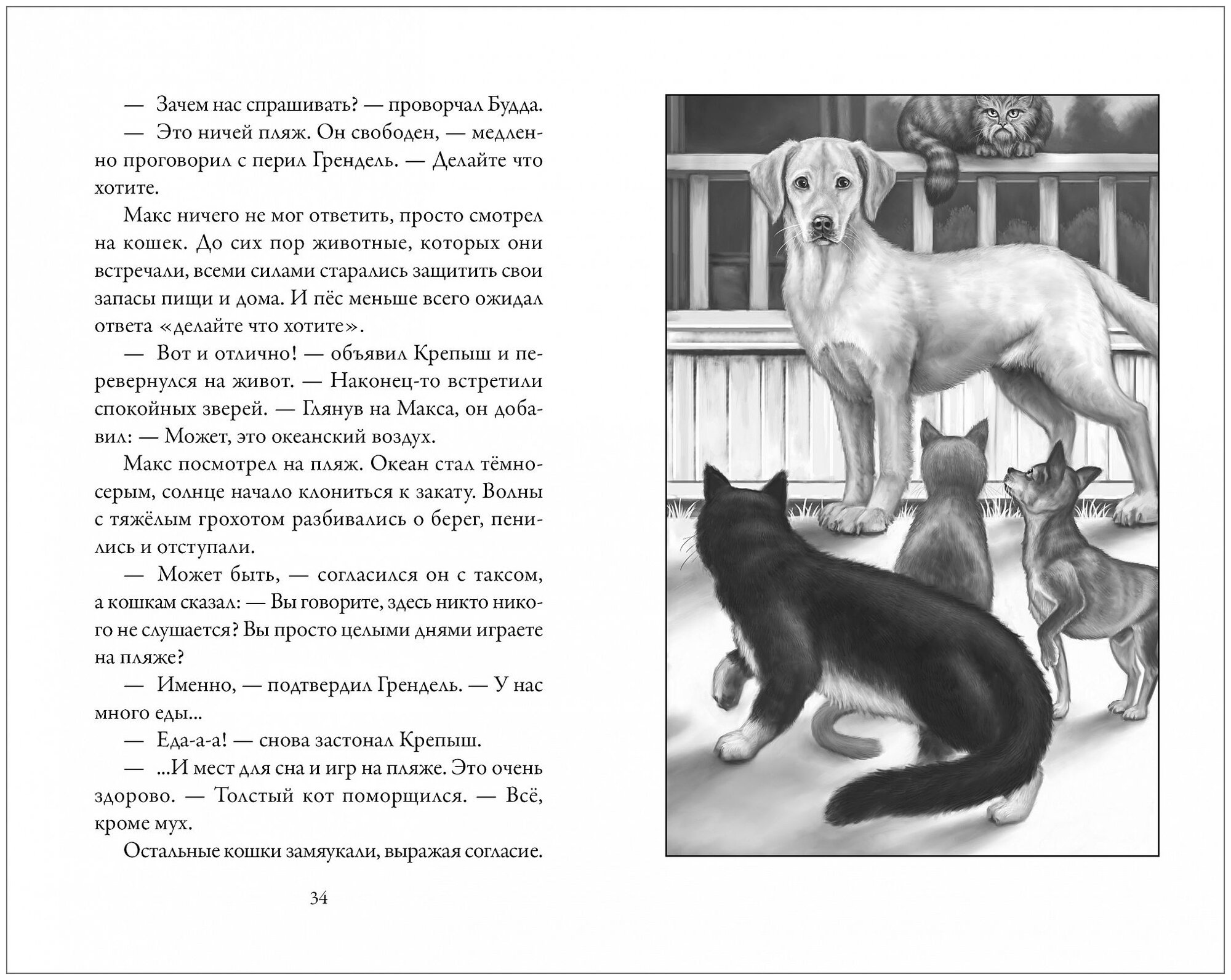 Верные. Кн. 3. Дорога чудес и невзгод - фото №3