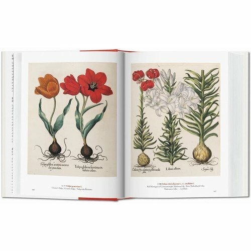 A Garden Eden. Masterpieces of Botanical Illustration - фото №18