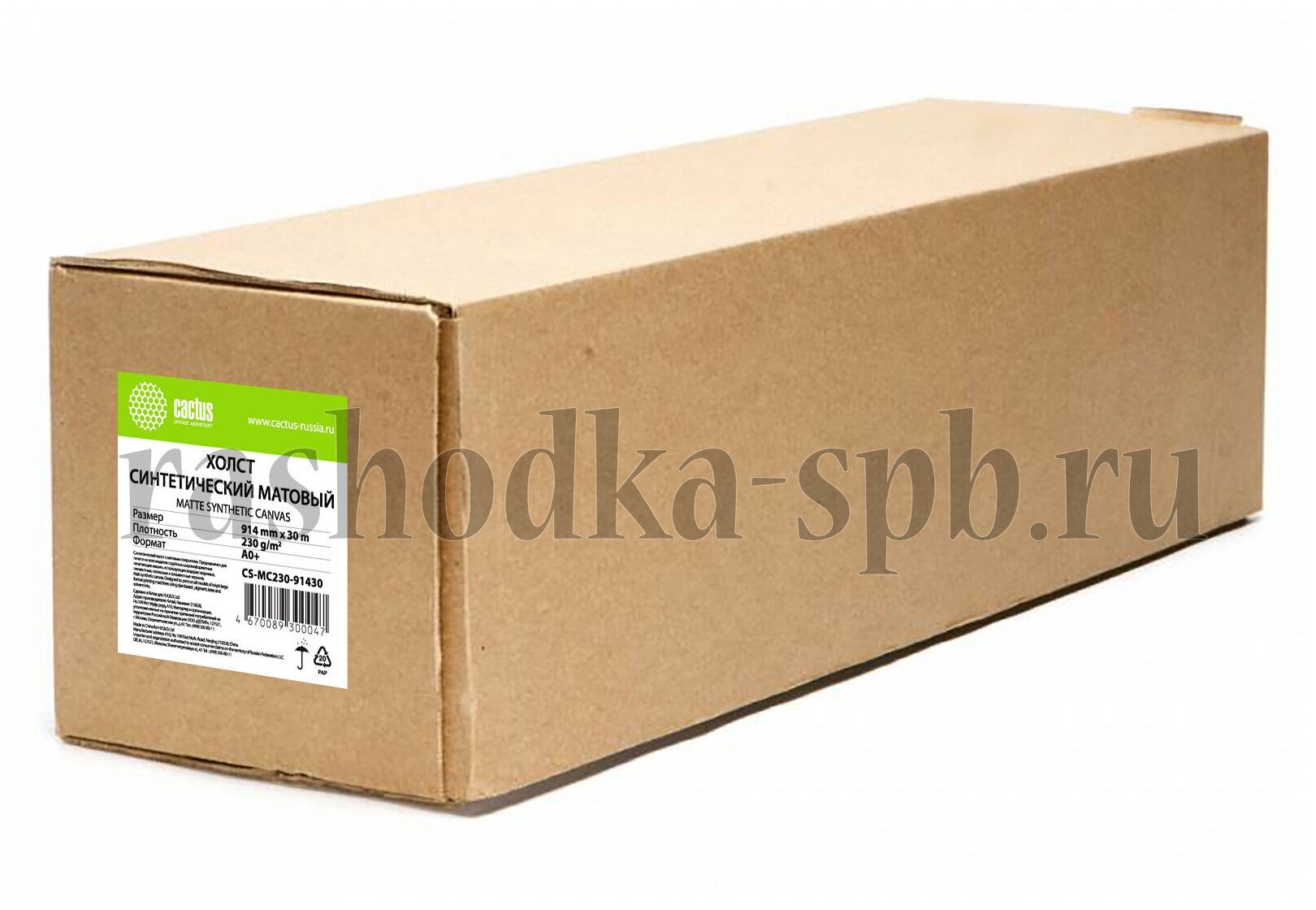 Холст Cactus - фото №1