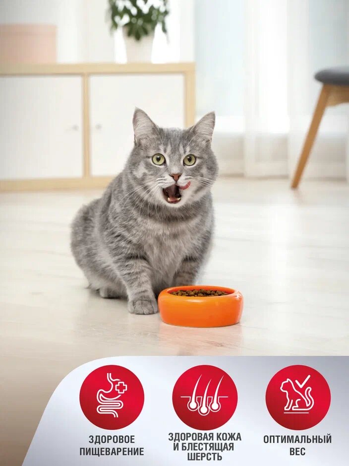 Сухой корм Зоогурман Supreme для взрослых кошек, телятина, 350г - фото №10