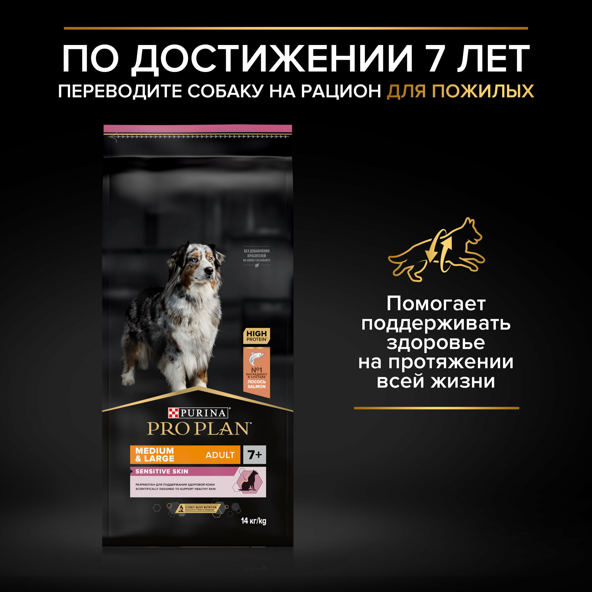Сухой корм Pro Plan Optidigest Sensitive Digestion для взрослых собак средних пород с чувствительным пищеварением, ягненок, 7кг - фото №7