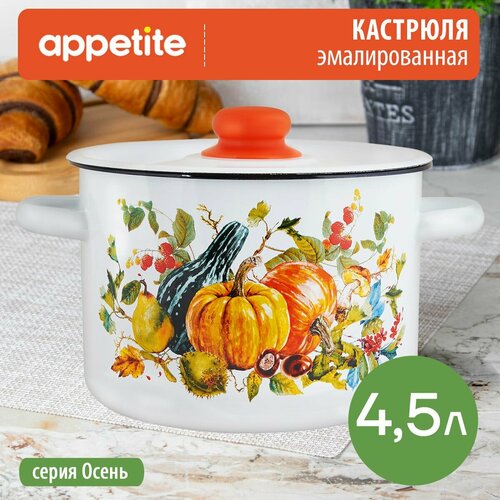 фото Кастрюля эмалированная осень 4,5л тм appetite