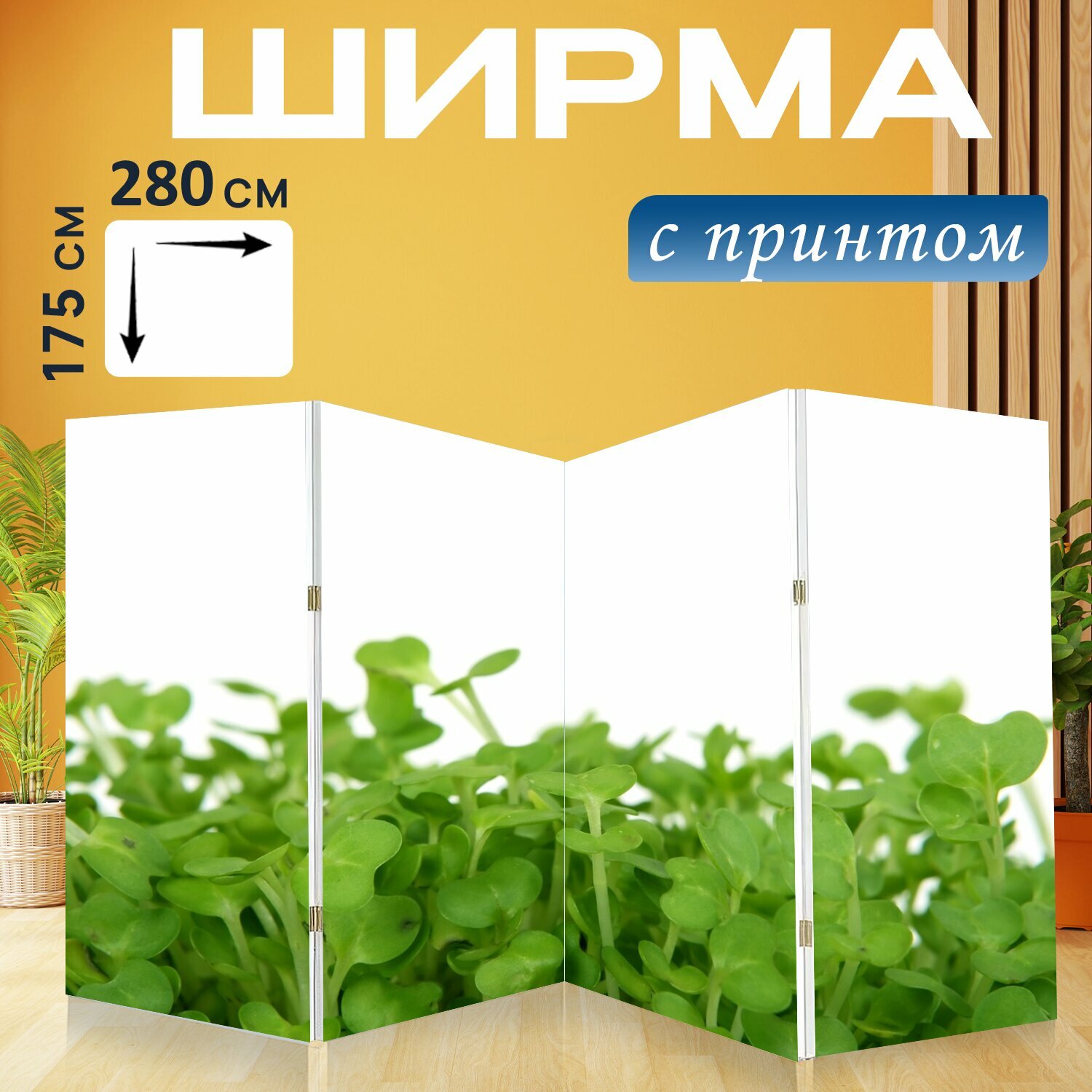Ширма "Блум, общественное питание, красочный" перегородка для зонирования комнаты с принтом 280x175 см. на холсте