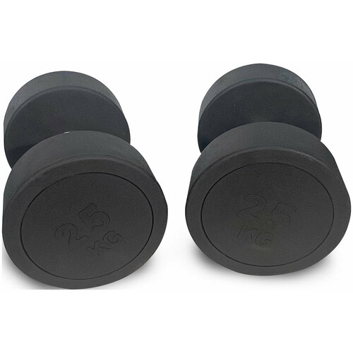 Гантель UNIX Fit PRO круглая, обрезиненная, металлическая, спортивная гантель, неразборная, 25 кг, 1 шт.