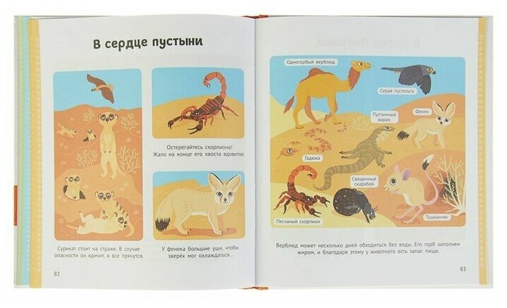 Энциклопедия животных для малышей - фото №3
