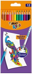 BIC Цветные карандаши Evolution Illusion, 12 цветов (987868)