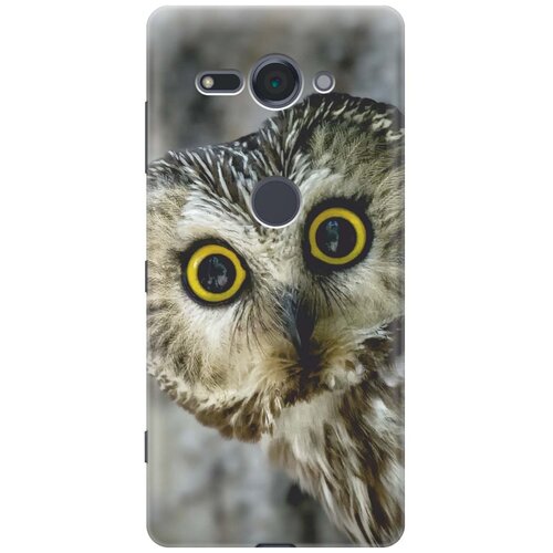 фото Re:pa накладка transparent для sony xperia xz2 compact с принтом "удивленная сова"