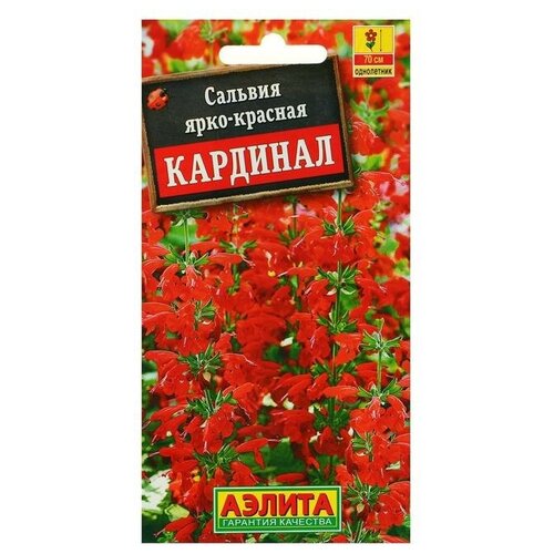 Агрофирма аэлита Семена цветов Сальвия Кардинал, О, 0,1 г
