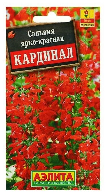 Семена цветов Сальвия "Кардинал", О, 0,1 г