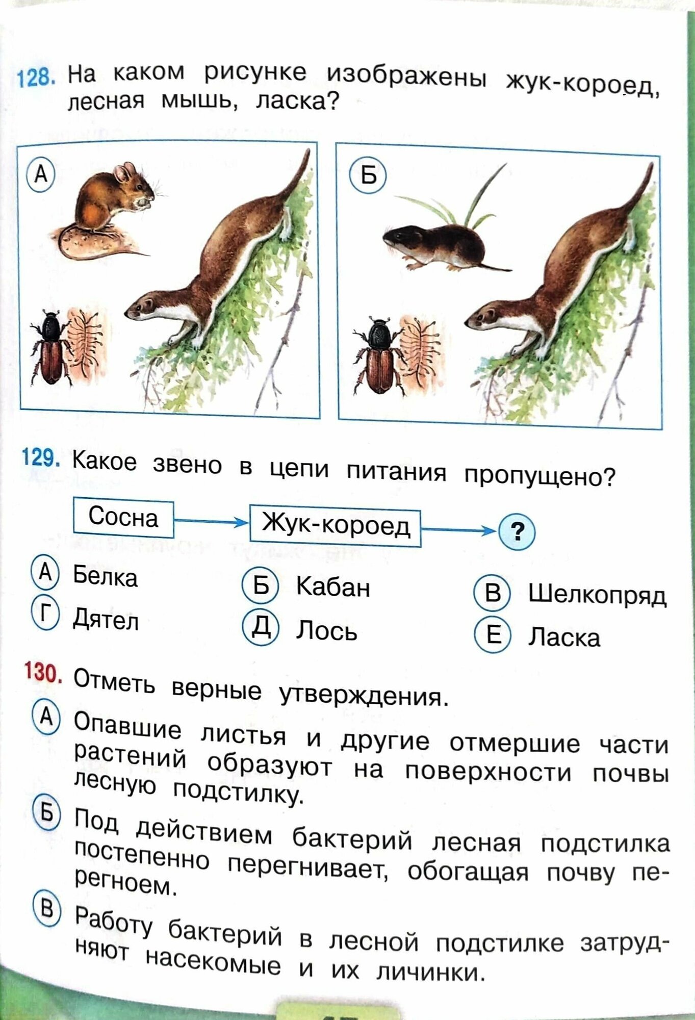 Окружающий мир. Тесты. 4 класс