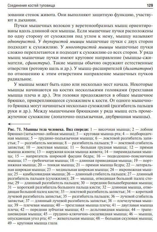 Анатомия человека. Учебник для фармацевтических факультетов - фото №6